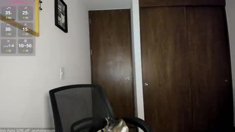 Aria Independent model online show from December 2025 12:39:02 AM