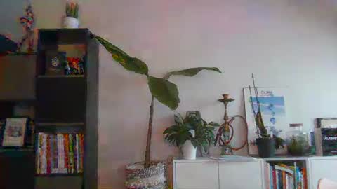 Snapshot of sebix9206 chatting on February 2025 08:27:02 AM sebix9206 online show from February 2025 08:27:02 AM