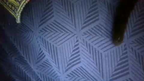 Sunny online show from April 2026 07:58:01 PM