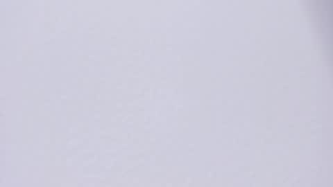 selenne_rouse online show from April 2026 12:19:01 AM