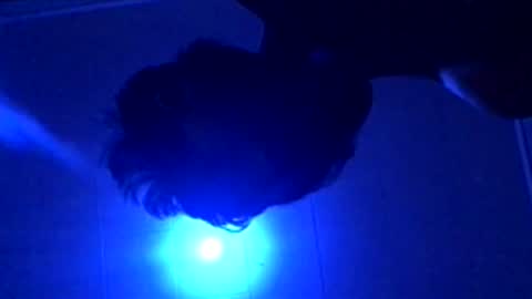 senseisalami online show from November 2025 09:22:01 AM