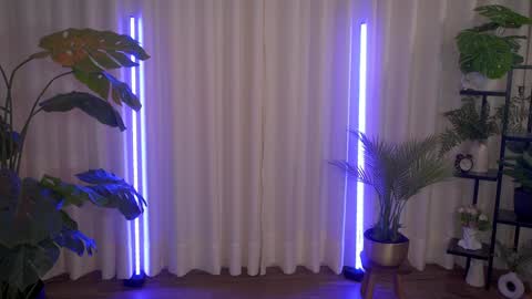 Maria- OF sensual bee online show from December 2024 12:23:01 AM