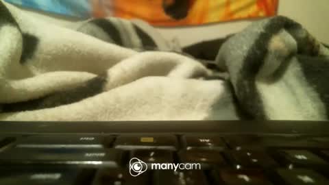 Snapshot of sexisgood0 chatting on October 2025 07:31:01 AM sexisgood0 online show from October 2025 07:31:01 AM