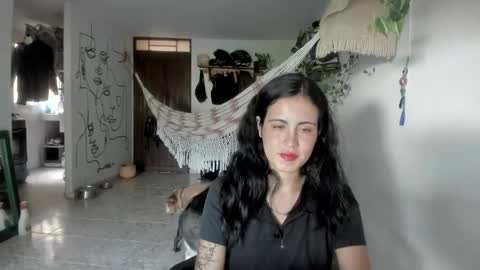         online show from May 2026 09:12:01 PM