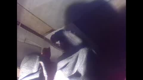 Snapshot of sexy15802 chatting on January 2025 07:03:01 AM sexy15802 online show from January 2025 07:03:01 AM