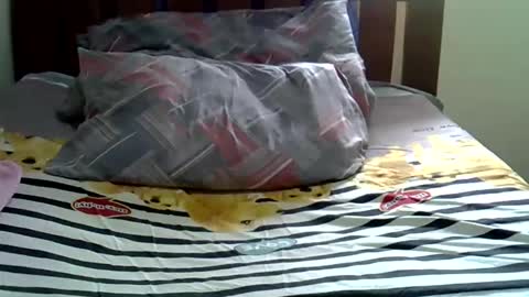 squirt lola online show from November 2025 11:41:01 AM