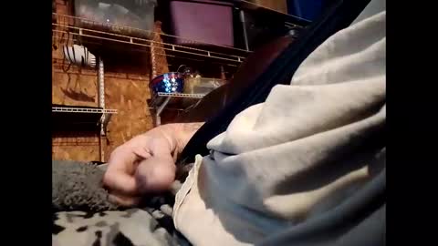    RICHY    online show from November 2025 01:57:01 PM