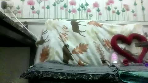 Daddy online show from February 2026 09:39:01 AM