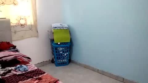 sexygril01 online show from November 2025 06:41:02 PM