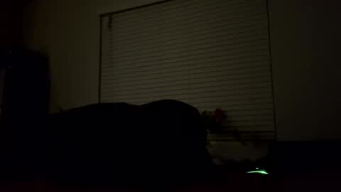 sexyhornyman1993 online show from March 2026 08:29:02 AM