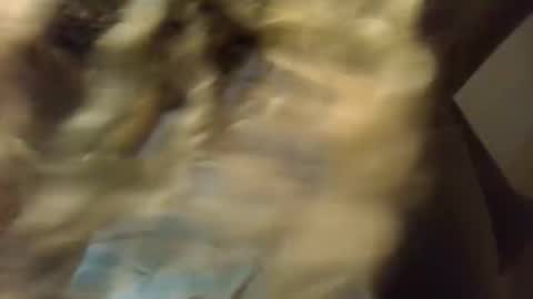 SexyKitty online show from November 2025 05:50:01 AM