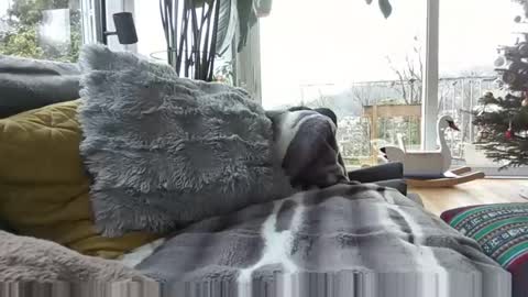 sexylover81ch online show from December 2025 11:28:01 AM