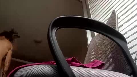 sexynudistdaddycockm online show from January 2026 08:11:02 PM