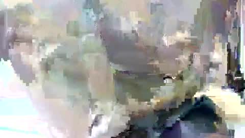 taiyan online show from February 2025 11:16:02 AM