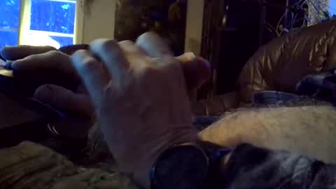 Snapshot of sgthard260486 chatting on February 2026 06:28:01 AM sgthard260486 online show from February 2026 06:28:01 AM