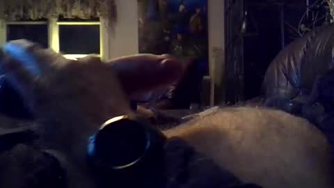 Snapshot of sgthard260486 chatting on March 2026 10:15:02 PM sgthard260486 online show from March 2026 10:15:02 PM