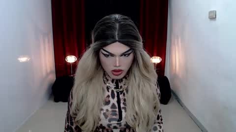 Shane X online show from December 2024 05:21:02 PM