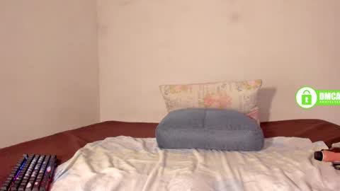 shack03 online show from February 2025 08:30:01 PM