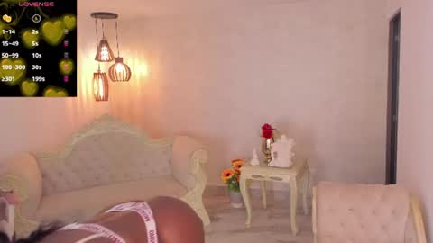 Snapshot of shantallknowless chatting on June 2026 03:05:02 PM ShantallKnowles online show from June 2026 03:05:02 PM