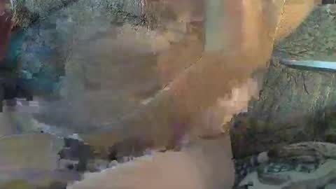 Sharkey644 online show from November 2025 04:40:01 PM