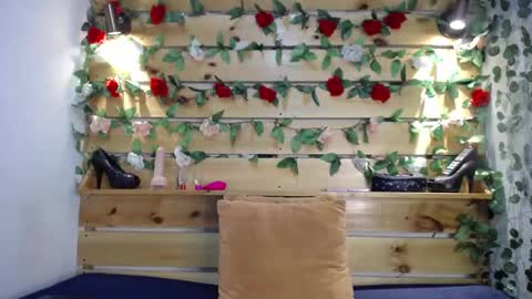 Sharol online show from February 2025 03:00:02 AM