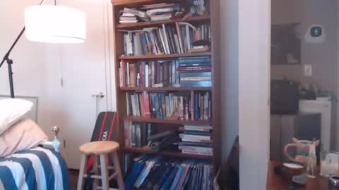 sheepishlion online show from December 2024 01:51:01 PM