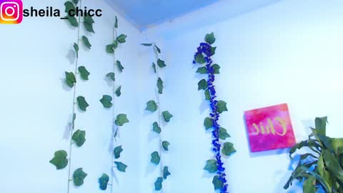 Snapshot of sheila_bigcok chatting on December 2024 07:39:02 PM SHEILA  online show from December 2024 07:39:02 PM