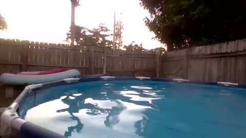 Red online show from September 2025 11:16:01 PM