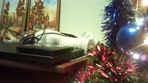 shirogane2004 online show from January 2026 07:15:01 PM