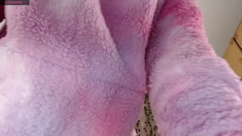 lamai online show from January 2025 05:34:01 AM