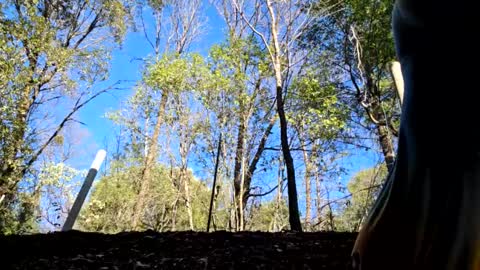 Aurora Wolfe  Shy College Girl  Top 16 of all OF Creators online show from January 2025 11:13:02 PM