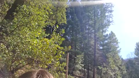 Aurora Wolfe  Shy College Girl  Top 16 of all OF Creators online show from February 2025 09:47:02 PM