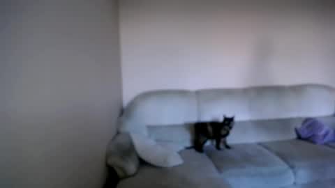 Snapshot of shy_sabrina_ chatting on April 2026 03:53:01 PM shy_sabrina_ online show from April 2026 03:53:01 PM