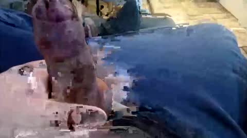 shynessy online show from December 2025 01:10:01 AM