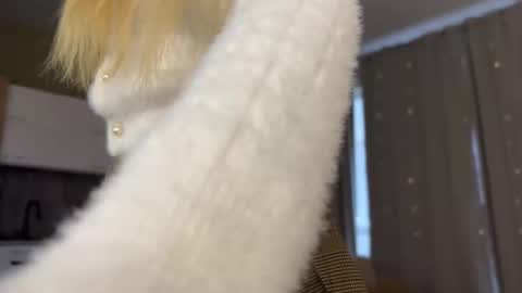 Aurora online show from October 2025 06:23:01 AM