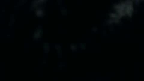 Silkey online show from December 2024 01:22:02 PM