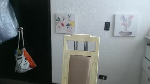 Snapshot of silvanaroberts_ chatting on February 2026 08:31:02 PM Rouse online show from February 2026 08:31:02 PM