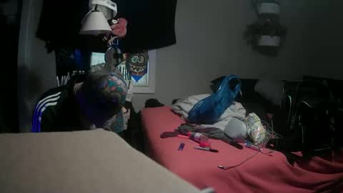 Danny skiff online show from March 2025 07:37:02 PM