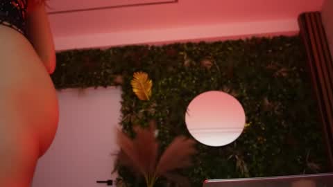 Snapshot of sisi_von_dee chatting on May 2026 07:01:02 PM Dee online show from May 2026 07:01:02 PM
