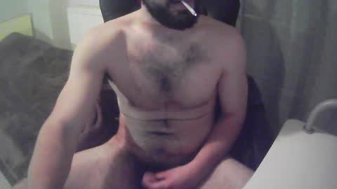 sissy_bear_ online show from December 2024 08:34:02 PM