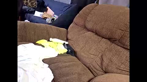 Snapshot of sissyboi124995 chatting on April 2026 07:51:02 PM sissyboi124995 online show from April 2026 07:51:02 PM