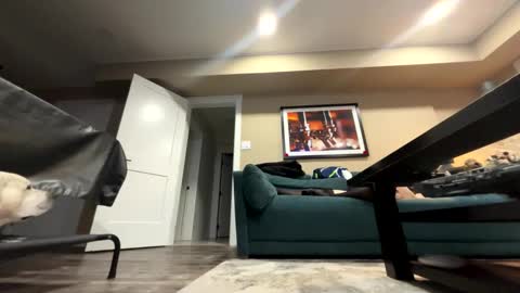 Snapshot of sissyinheelsbbc chatting on November 2025 02:21:01 AM sissyinheelsbbc online show from November 2025 02:21:01 AM