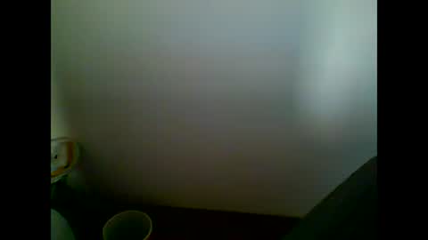 Snapshot of skater19xxx chatting on March 2025 04:11:02 PM miguel online show from March 2025 04:11:02 PM