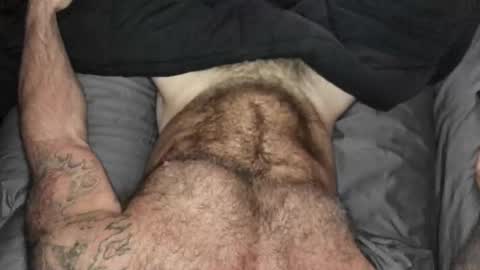 BEEF online show from September 2025 08:48:01 AM