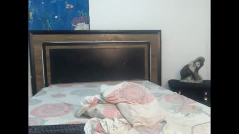 Snapshot of skinny_long_cock chatting on January 2026 06:05:02 AM Albert online show from January 2026 06:05:02 AM