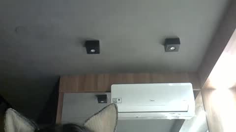 skinnykittencam online show from October 2025 03:15:02 AM