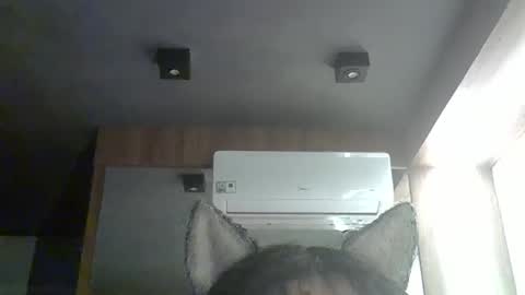 skinnykittencam online show from January 2026 12:26:01 AM