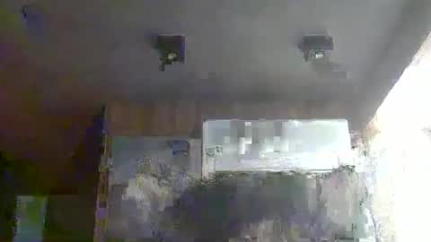 skinnykittencam online show from January 2026 03:44:01 AM