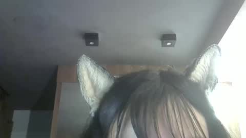 skinnykittencam online show from March 2026 09:21:01 PM