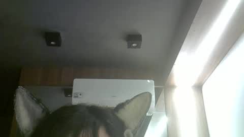 skinnykittencam online show from March 2026 08:37:02 AM